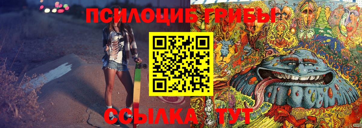 Псилоцибиновые грибы Cubensis Камышин